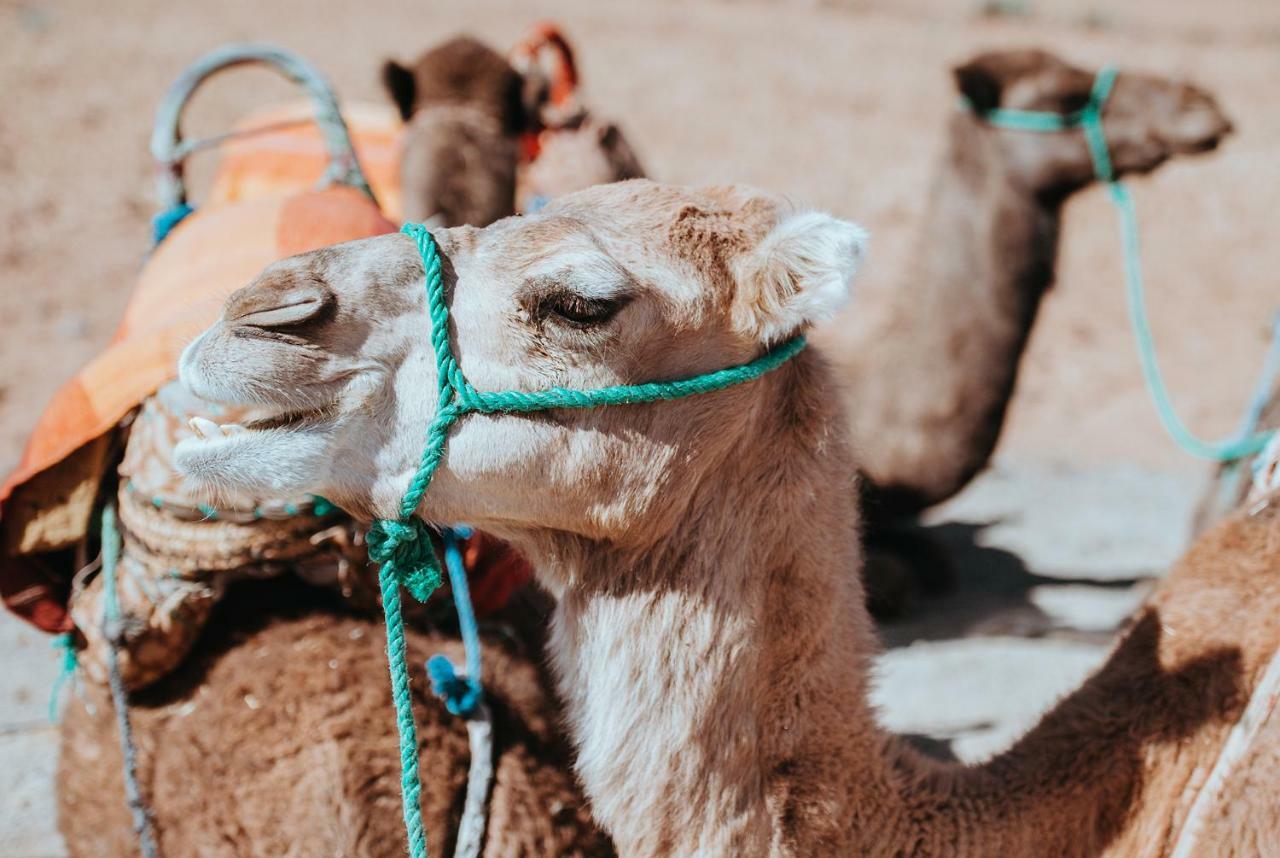 Atana Stay Al Ashkara Al Sharqiyah Dış mekan fotoğraf